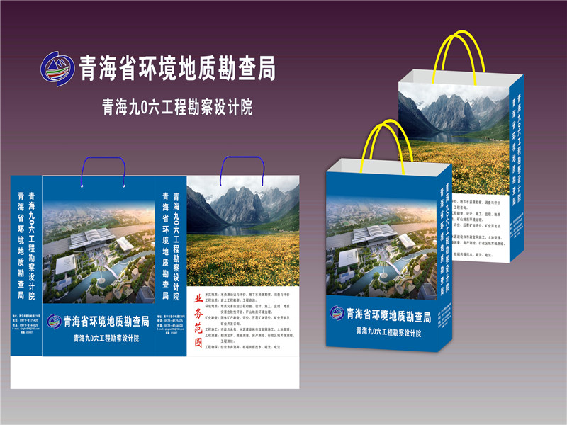 青海省 环境地勘局.jpg