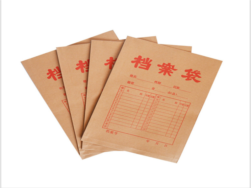 普通档案袋.jpg